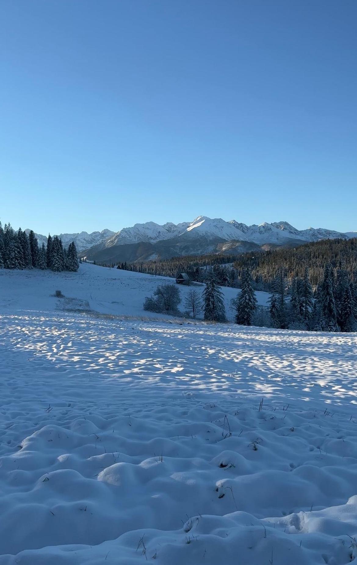 Ferienwohnung Tatra Widok Bukowina Tatrzańska Exterior foto